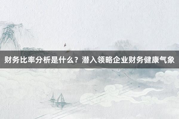 财务比率分析是什么？潜入领略企业财务健康气象