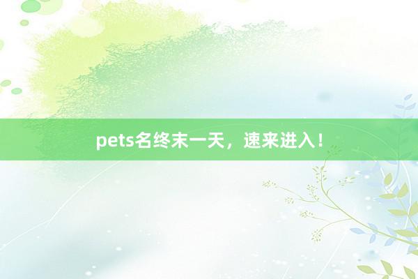pets名终末一天，速来进入！